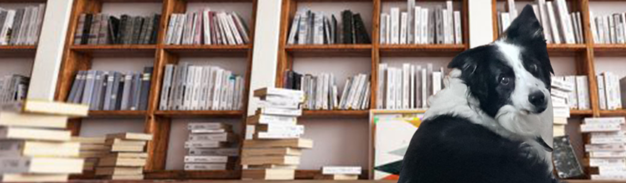 #<Spree::AffiliateProfile:0x000055b2cdba56f0> banner
